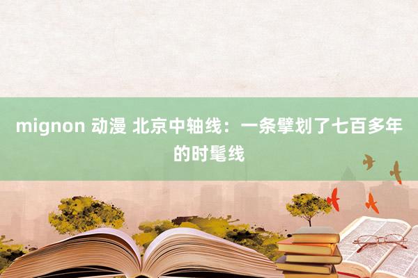 mignon 动漫 北京中轴线：一条擘划了七百多年的时髦线