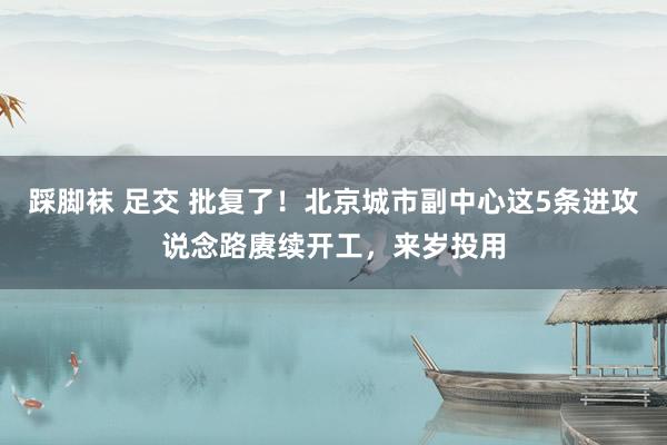 踩脚袜 足交 批复了！北京城市副中心这5条进攻说念路赓续开工，来岁投用