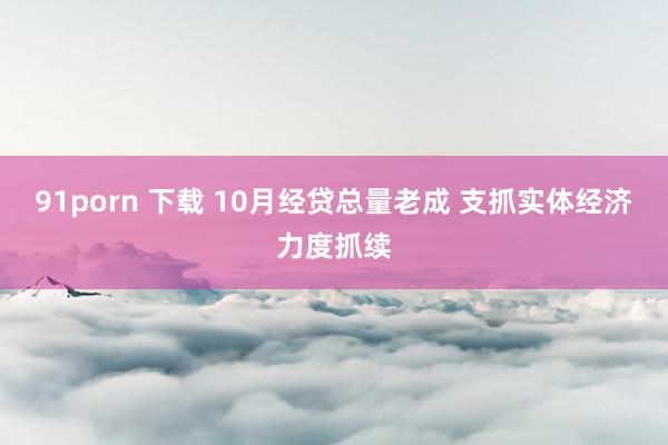 91porn 下载 10月经贷总量老成 支抓实体经济力度抓续