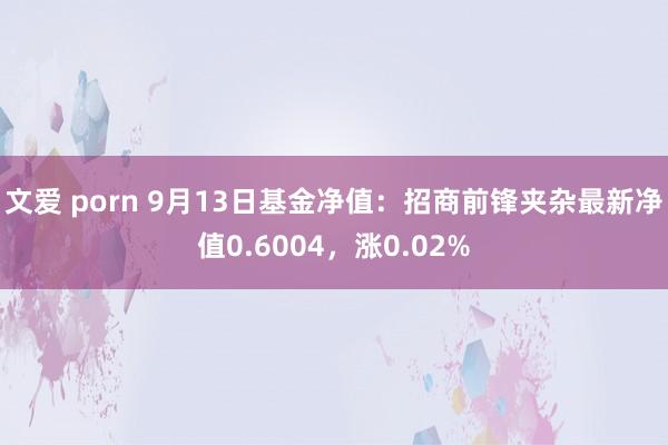 文爱 porn 9月13日基金净值：招商前锋夹杂最新净值0.6004，涨0.02%