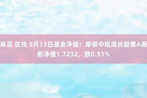 麻豆 在线 9月13日基金净值：摩根中枢成长股票A最新净值1.7232，跌0.51%