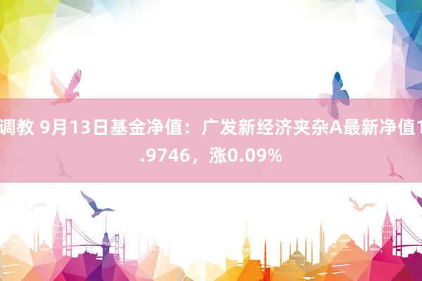 调教 9月13日基金净值：广发新经济夹杂A最新净值1.9746，涨0.09%