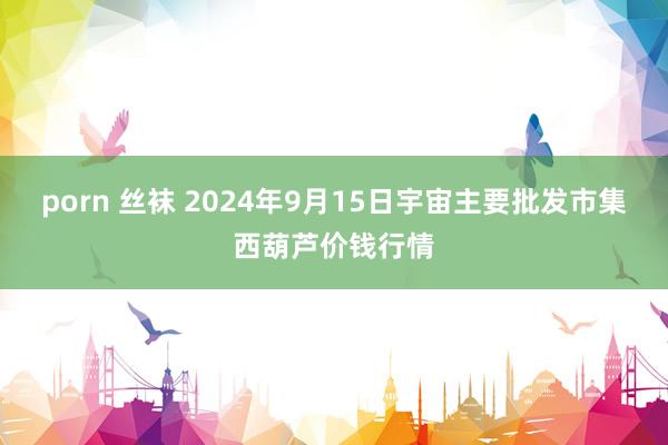 porn 丝袜 2024年9月15日宇宙主要批发市集西葫芦价钱行情