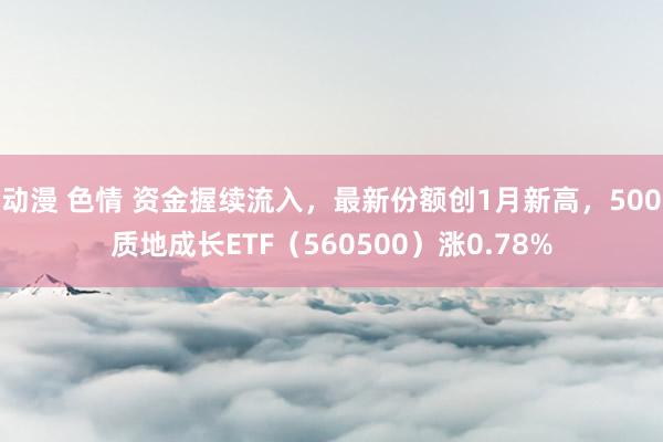 动漫 色情 资金握续流入，最新份额创1月新高，500质地成长ETF（560500）涨0.78%