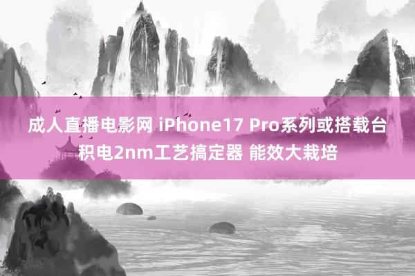 成人直播电影网 iPhone17 Pro系列或搭载台积电2nm工艺搞定器 能效大栽培