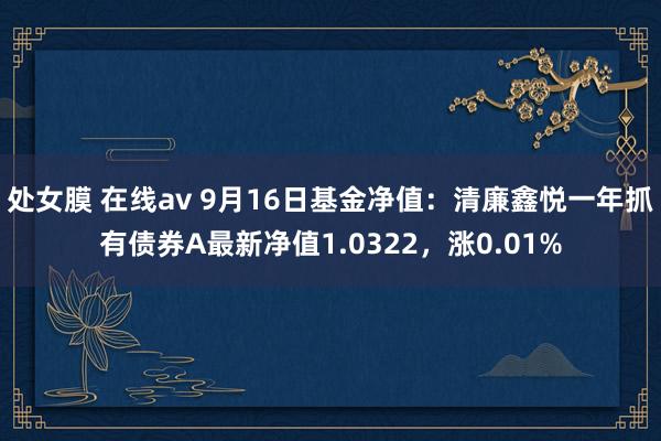 处女膜 在线av 9月16日基金净值：清廉鑫悦一年抓有债券A最新净值1.0322，涨0.01%