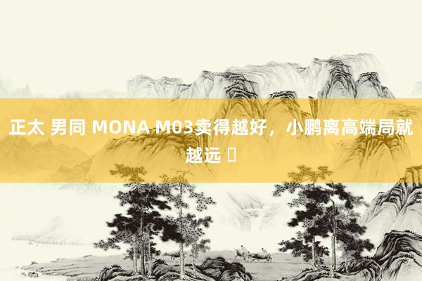 正太 男同 MONA M03卖得越好，小鹏离高端局就越远 ​