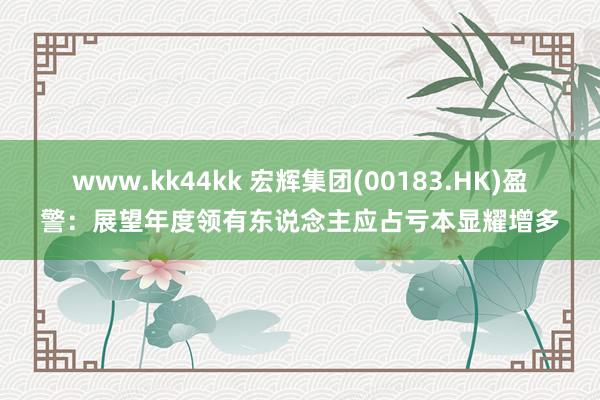 www.kk44kk 宏辉集团(00183.HK)盈警：展望年度领有东说念主应占亏本显耀增多