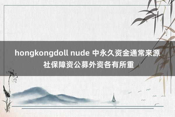 hongkongdoll nude 中永久资金通常来源 社保障资公募外资各有所重