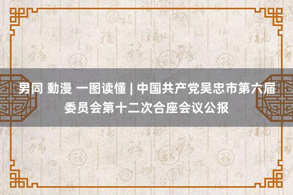 男同 動漫 一图读懂 | 中国共产党吴忠市第六届委员会第十二次合座会议公报