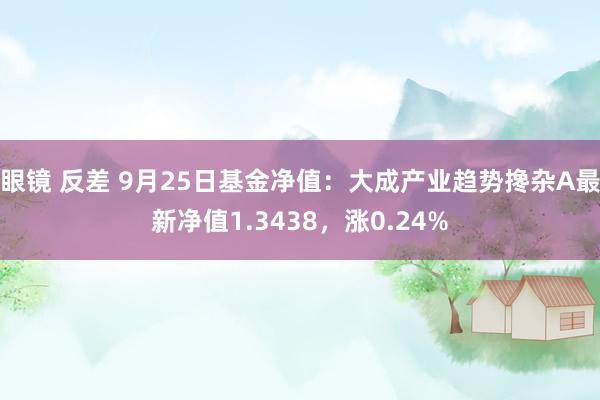 眼镜 反差 9月25日基金净值：大成产业趋势搀杂A最新净值1.3438，涨0.24%