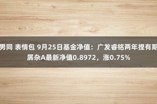 男同 表情包 9月25日基金净值：广发睿铭两年捏有期羼杂A最新净值0.8972，涨0.75%