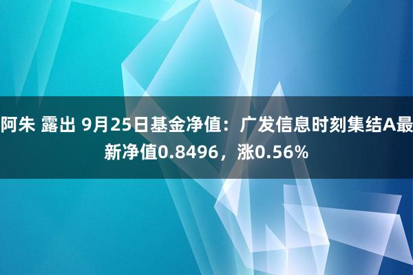 阿朱 露出 9月25日基金净值：广发信息时刻集结A最新净值0.8496，涨0.56%