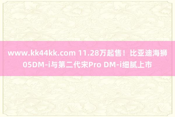 www.kk44kk.com 11.28万起售！比亚迪海狮05DM-i与第二代宋Pro DM-i细腻上市