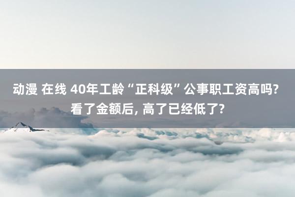 动漫 在线 40年工龄“正科级”公事职工资高吗? 看了金额后， 高了已经低了?