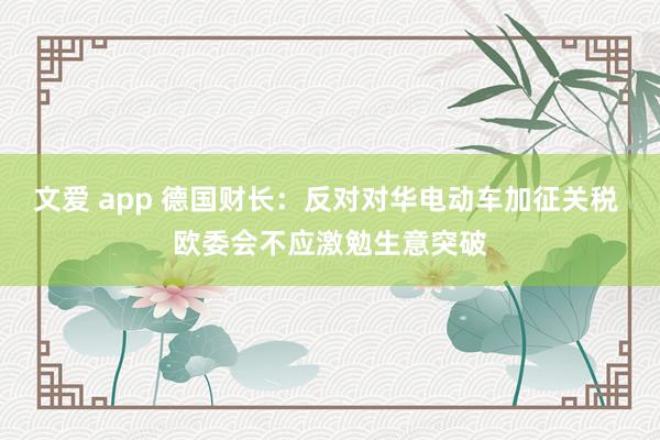 文爱 app 德国财长：反对对华电动车加征关税 欧委会不应激勉生意突破