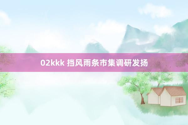 02kkk 挡风雨条市集调研发扬