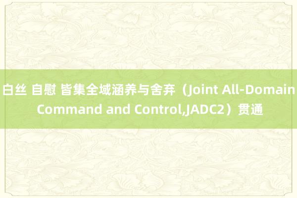 白丝 自慰 皆集全域涵养与舍弃（Joint All-Domain Command and Control，JADC2）贯通