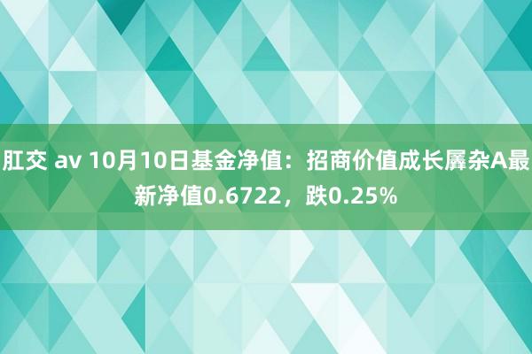 肛交 av 10月10日基金净值：招商价值成长羼杂A最新净值0.6722，跌0.25%