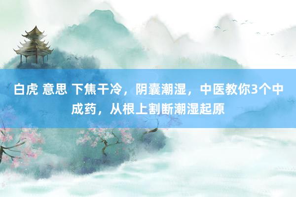 白虎 意思 下焦干冷，阴囊潮湿，中医教你3个中成药，从根上割断潮湿起原