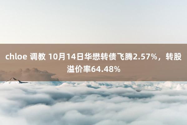 chloe 调教 10月14日华懋转债飞腾2.57%，转股溢价率64.48%