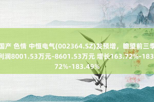 国产 色情 中恒电气(002364.SZ)发预增，瞻望前三季度净利润8001.53万元–8601.53万元 增长163.72%-183.49%