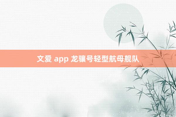 文爱 app 龙骧号轻型航母舰队