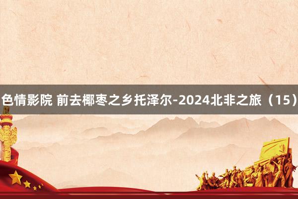 色情影院 前去椰枣之乡托泽尔-2024北非之旅（15）