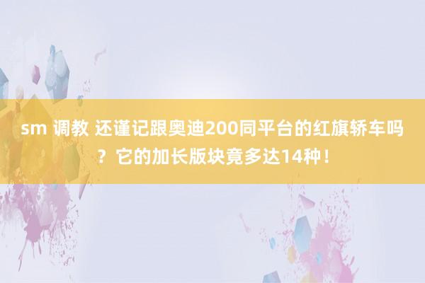 sm 调教 还谨记跟奥迪200同平台的红旗轿车吗？它的加长版块竟多达14种！