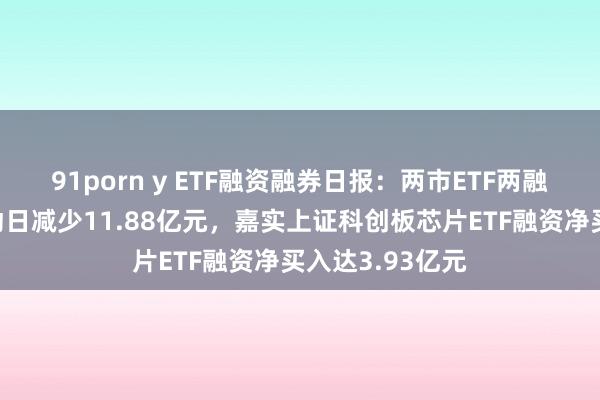 91porn y ETF融资融券日报：两市ETF两融余额较前一走动日减少11.88亿元，嘉实上证科创板芯片ETF融资净买入达3.93亿元