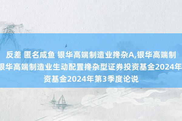 反差 匿名咸鱼 银华高端制造业搀杂A，银华高端制造业搀杂C: 银华高端制造业生动配置搀杂型证券投资基金2024年第3季度论说