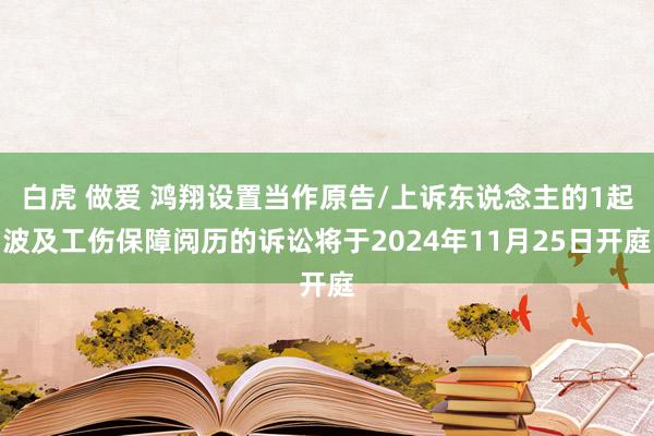 白虎 做爱 鸿翔设置当作原告/上诉东说念主的1起波及工伤保障阅历的诉讼将于2024年11月25日开庭