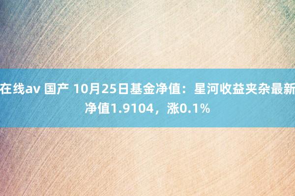 在线av 国产 10月25日基金净值：星河收益夹杂最新净值1.9104，涨0.1%