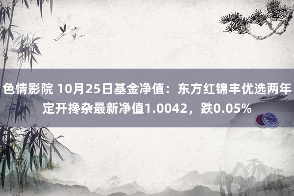 色情影院 10月25日基金净值：东方红锦丰优选两年定开搀杂最新净值1.0042，跌0.05%