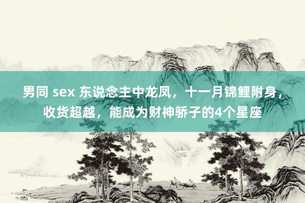 男同 sex 东说念主中龙凤，十一月锦鲤附身，收货超越，能成为财神骄子的4个星座