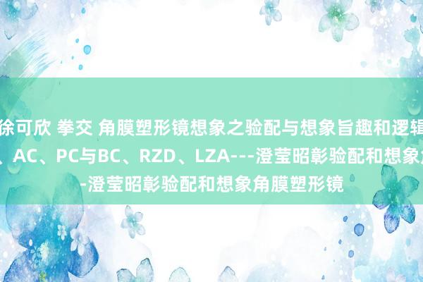 徐可欣 拳交 角膜塑形镜想象之验配与想象旨趣和逻辑，BC、RC、AC、PC与BC、RZD、LZA---澄莹昭彰验配和想象角膜塑形镜