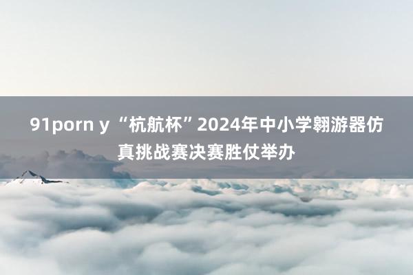 91porn y “杭航杯”2024年中小学翱游器仿真挑战赛决赛胜仗举办