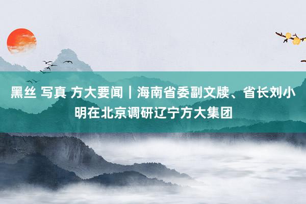 黑丝 写真 方大要闻｜海南省委副文牍、省长刘小明在北京调研辽宁方大集团