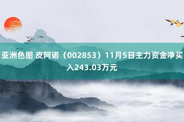 亚洲色图 皮阿诺（002853）11月5日主力资金净买入243.03万元