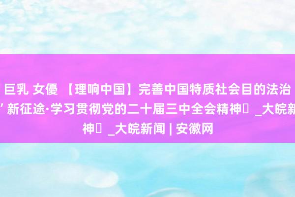 巨乳 女優 【理响中国】完善中国特质社会目的法治体系漫“话”新征途·学习贯彻党的二十届三中全会精神㉖_大皖新闻 | 安徽网