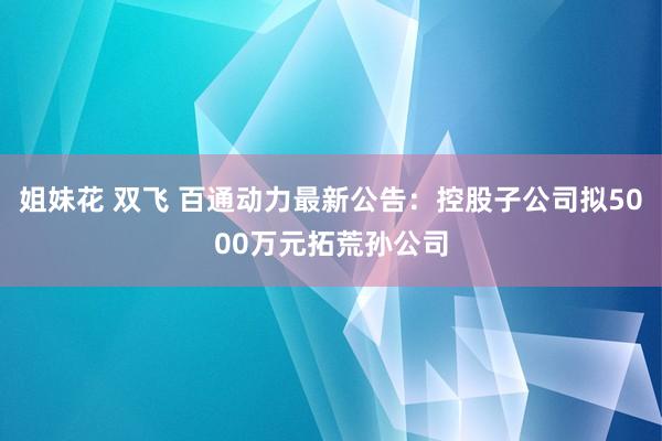 姐妹花 双飞 百通动力最新公告：控股子公司拟5000万元拓荒孙公司