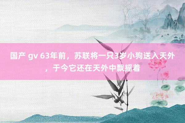 国产 gv 63年前，苏联将一只3岁小狗送入天外，于今它还在天外中飘摇着