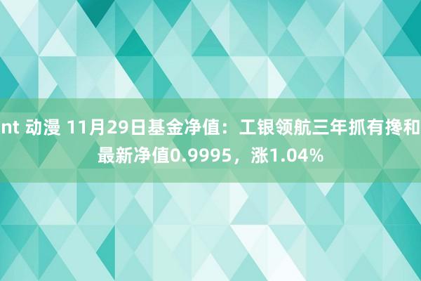 nt 动漫 11月29日基金净值：工银领航三年抓有搀和最新净值0.9995，涨1.04%