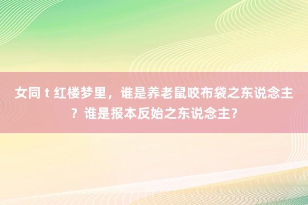 女同 t 红楼梦里，谁是养老鼠咬布袋之东说念主？谁是报本反始之东说念主？