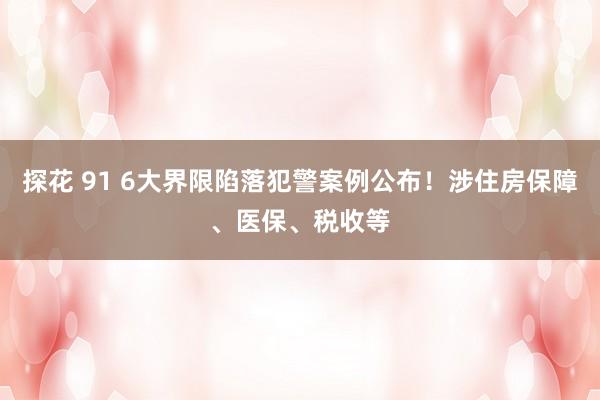 探花 91 6大界限陷落犯警案例公布！涉住房保障、医保、税收等