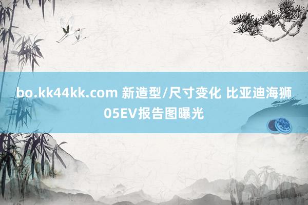 bo.kk44kk.com 新造型/尺寸变化 比亚迪海狮05EV报告图曝光