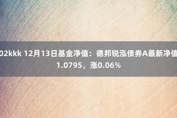 02kkk 12月13日基金净值：德邦锐泓债券A最新净值1.0795，涨0.06%