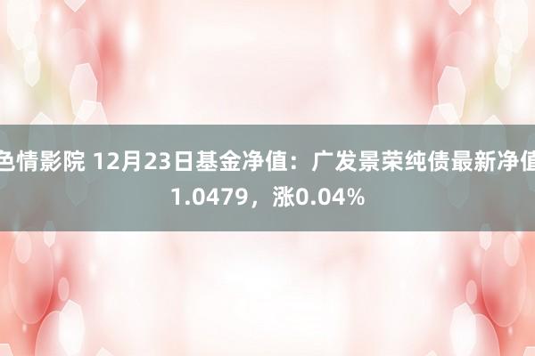 色情影院 12月23日基金净值：广发景荣纯债最新净值1.0479，涨0.04%