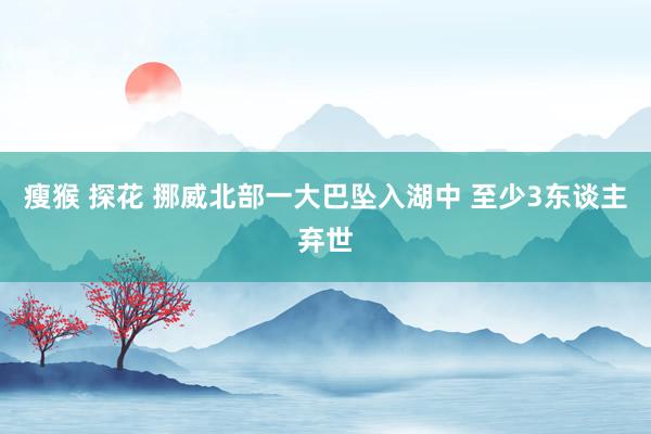 瘦猴 探花 挪威北部一大巴坠入湖中 至少3东谈主弃世