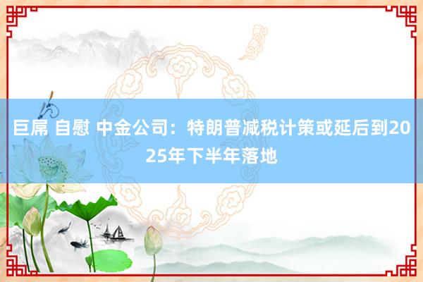 巨屌 自慰 中金公司：特朗普减税计策或延后到2025年下半年落地